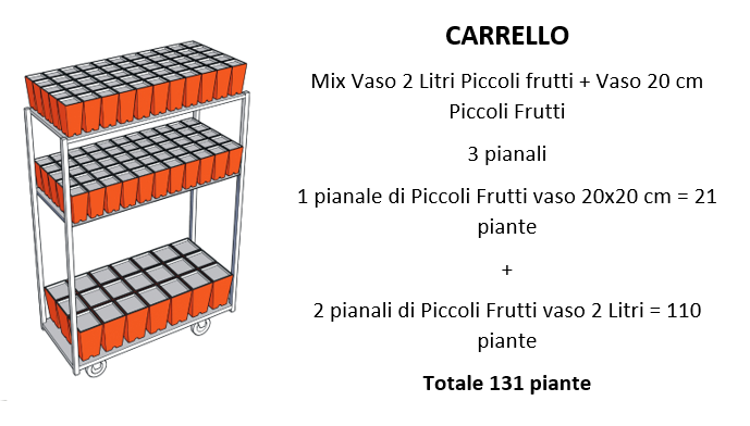 Foto Carrello Garden Center Mix